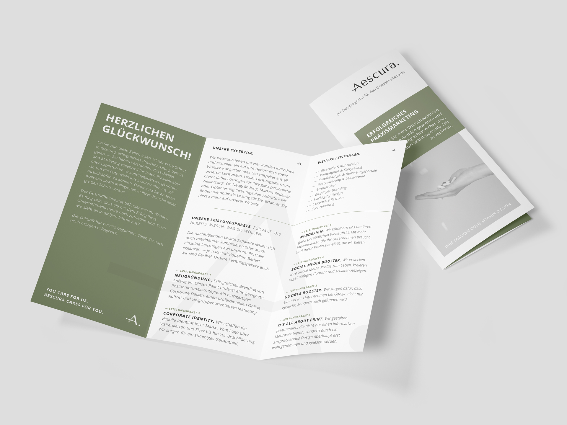 Chiara Hruby Lateo, Aescura, Corporate Design, Printmedien, Flyer